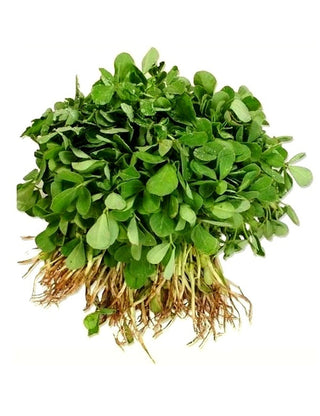 Fresh Methi Leaves Bunch - 1Kg