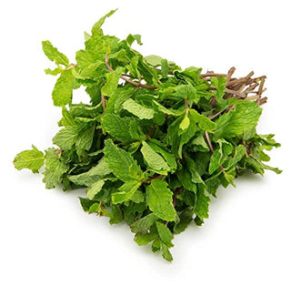 Fresh Mint Leaves Bunch - 1Kg