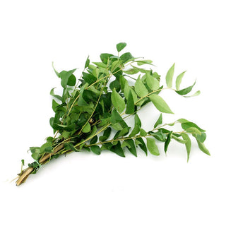 Fresh Curry Leaves Bunch - 1Kg