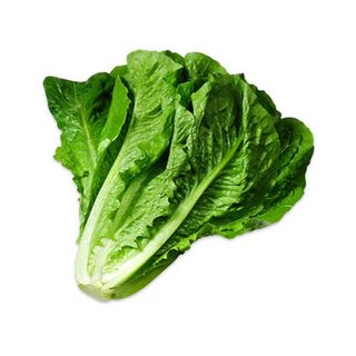 Lettuce Romain - 1Kg