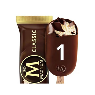 Magnum Classic Ice Cream Stick - 100ml