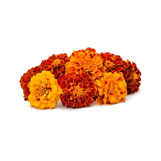 Fresh Pooja Flowers - 1Kg